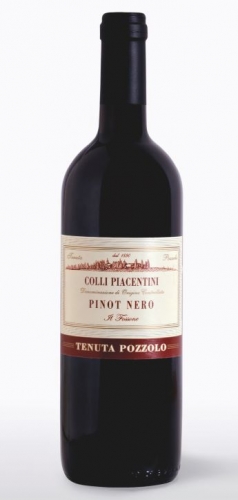 Pinot Nero 2016 D.O.C. Still Wine - Tenuta Pozzolo