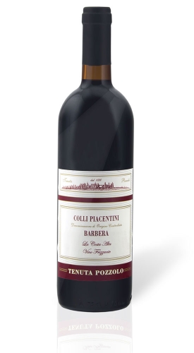 Barbera 2017 Sparkling DOC - Tenuta Pozzolo