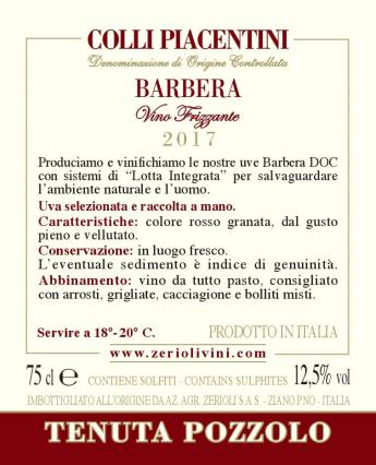 Barbera 2017 Sparkling DOC - Tenuta Pozzolo