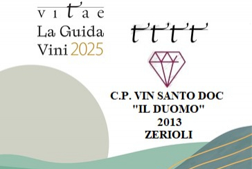 Premio Gemma dell'Anno - Vitae 2025