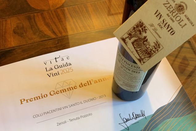 Premio Gemma dell'Anno - Vitae 2025