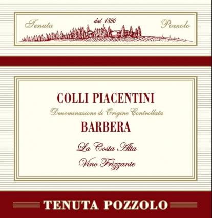 Barbera 2017 Sparkling DOC - Tenuta Pozzolo