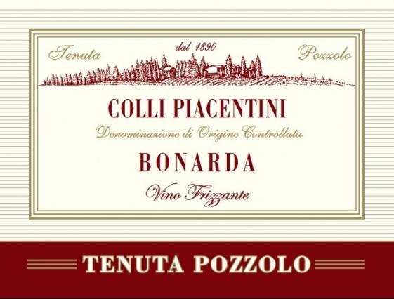 Bonarda Sparkling 2017 D.O.C. - Tenuta Pozzolo