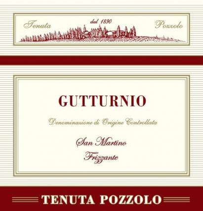 Gutturnio Sparkling 2017 DOC Tenuta Pozzolo